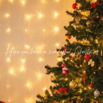 Christmas の画像3枚目/IRIE SPA(アイリースパ)(池袋/メンズエステ)