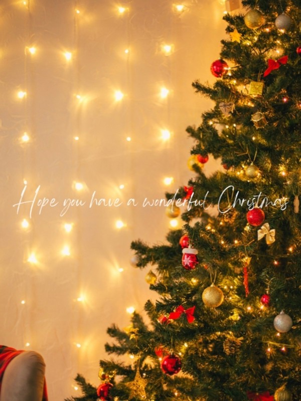 Christmas の画像3枚目/IRIE SPA(アイリースパ)(池袋/メンズエステ)