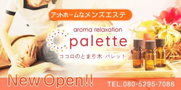 パレット(熊本市／マンション(個室))