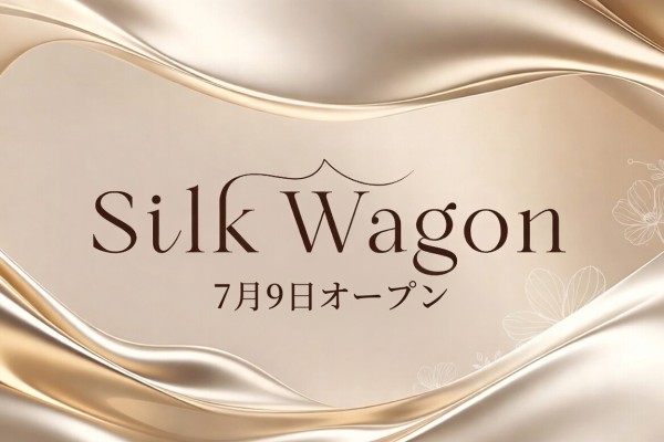 シルクワゴン 金山メンズエステ