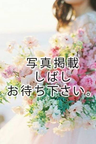桜木 ののか（23） の画像1枚目/KARADA ni PEACE(博多・中洲・天神/メンズエステ)